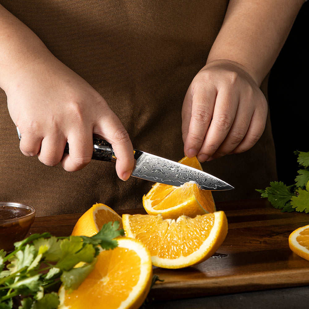 Paring / Small Kitchen Knife, Hikari – Damascus Steel VG-10 Core, Carbon Resin Handle, Peeling Knife - Hikari